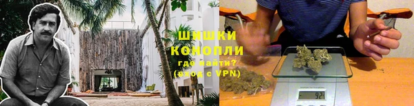 шишки Алзамай
