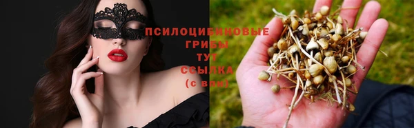 герыч Алексин