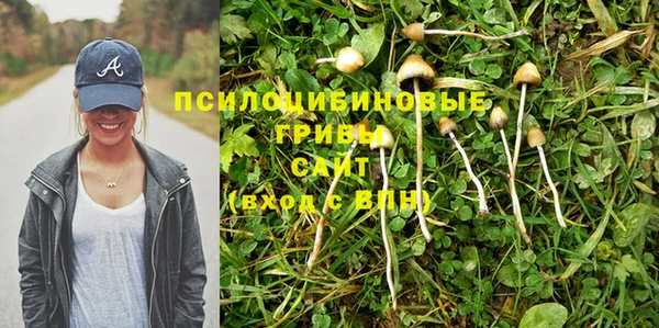 герыч Алексин