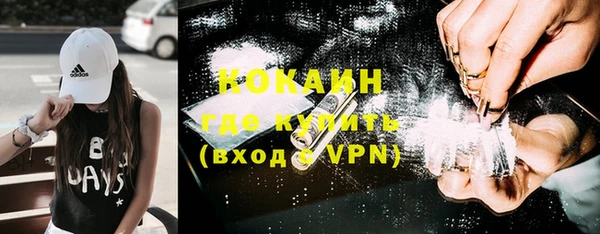 шишки Алзамай