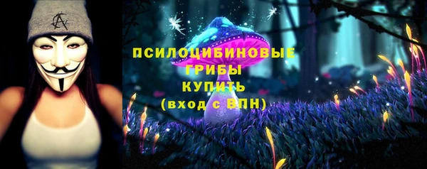 герыч Алексин