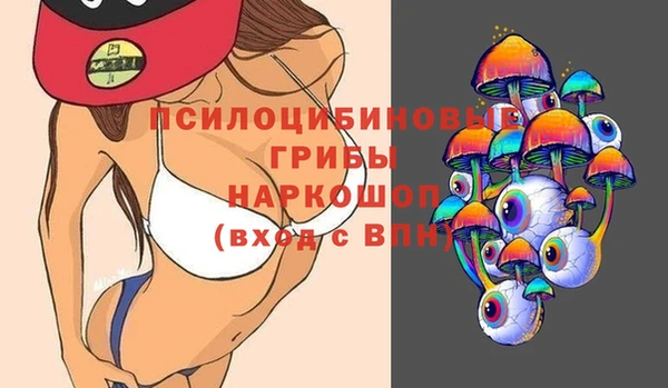 шишки Алзамай